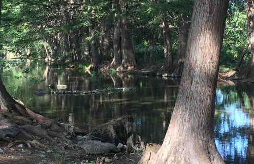 Swimming Hole - Foto 23