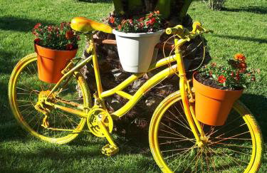 Apartments Makaus - Photo 24