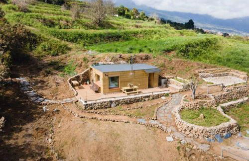 El Pino Centenario 3 - Foto 8