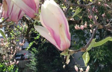 Haus Seeblick Markdorf - Foto 16