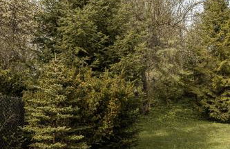 Artist's House - Foto 13