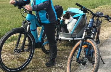 Haus Friedel 2 - Foto 21