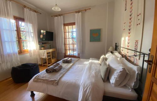 Evergreen Elati - Foto 18