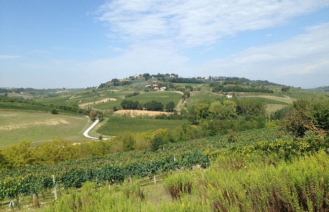Toskana Weintour vom Hafen Livorno - Foto 6