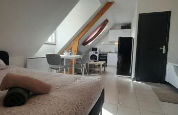 Déols studio balnéo 2-4 pers - wifi - parking - Foto 9