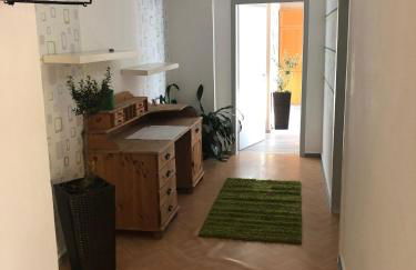 Julien Felix 1 - Foto 1