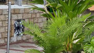 Aqualife luxury home 4 - Foto 5