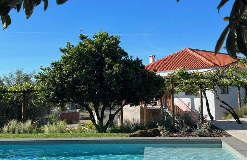 Casa Bizarra - Foto 20