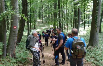 Old house by the stream - Photo 63