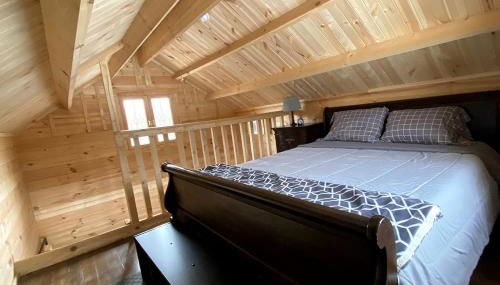 Remote and Serene Lakefront Cabin in Cantwell, Alaska, with Gorgeous Views of Nations Mountain - Foto 3