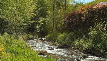 Gîte en bord d'étang et de rivière - Foto 5