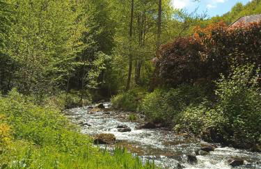 Gîte en bord d'étang et de rivière - Foto 5