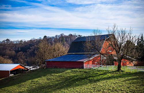 Log Cabin with Mountain View and Privacy - Foto 67