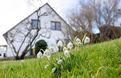 Ferienwohnung Brauer - Foto 2