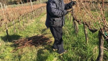 wine apartment le sedici - Foto 2