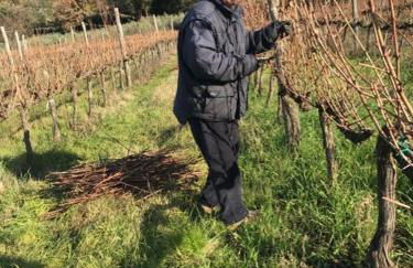 wine apartment le sedici - Foto 2