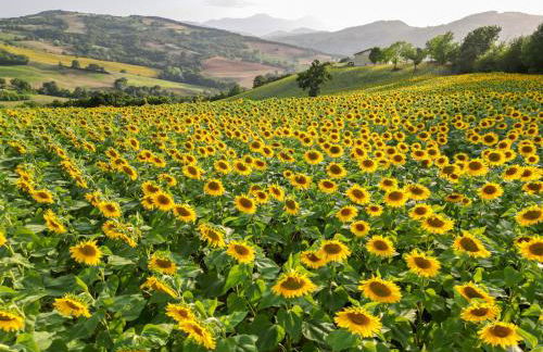 Vecchi Maestri Luxury Adults Only Apartments with Breakfast - Foto 46