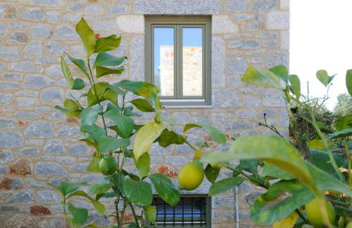 Nikoloudi Estate - Foto 9