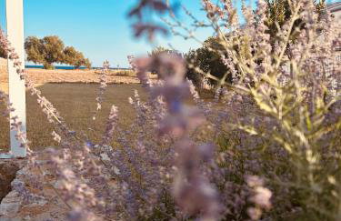 Thalassa Grammeno seaview house - Foto 2