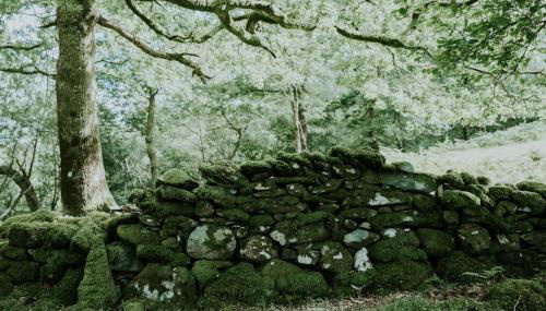 Willow Cabin & Hot Tub - Foto 2