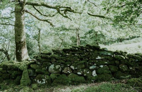 Willow Cabin & Hot Tub - Foto 2