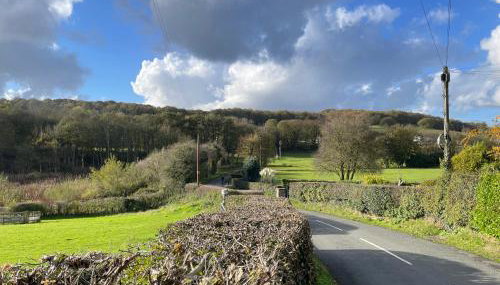 Tollgate House - Luxury Cozy Cottage - HUGE Hot Tub - Alton Towers - Foto 3