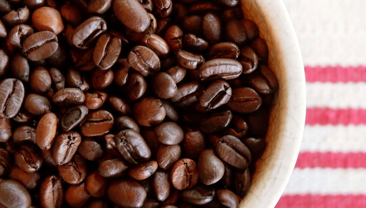 Excursión al Museo del Café de Ciales