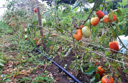Casa Leopina Apri gli occhi e vola oltre il mare - Foto 40