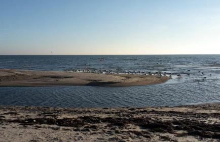 Ferienhaus Leja - Foto 9