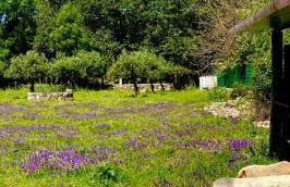 Arca dos Animais - Farming & SPA - Foto 39