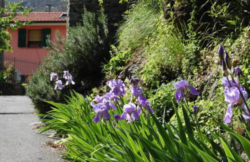 Villa Giuanne - Foto 77