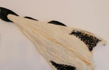 Casa D'Avó Bina Alojamento Local - Foto 43