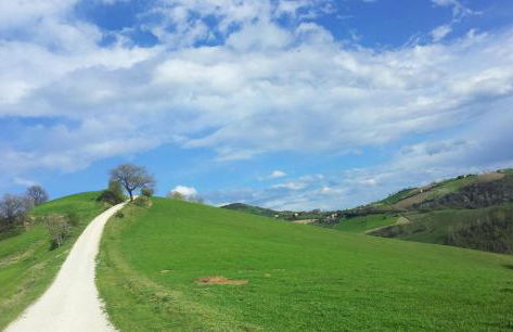 Casale Il Picchio Verde - Foto 23