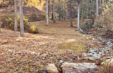 Mountain Cabin & Creek-Front Nature Retreat NC - Foto 7