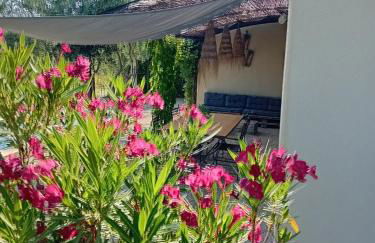 Villa de charme à Cucuron au pied du luberon - Foto 10