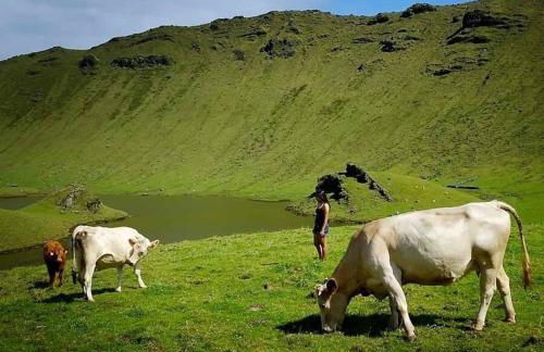 Casa Malagueta - Foto 23