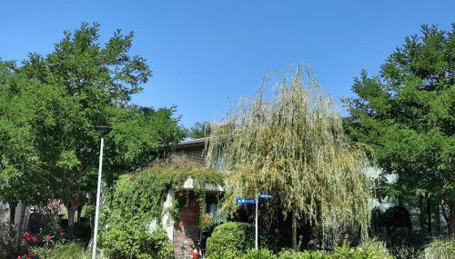 Glashus-Moos Loft 2 - Foto 3