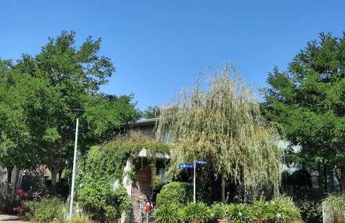 Glashus-Moos Loft 2 - Foto 3