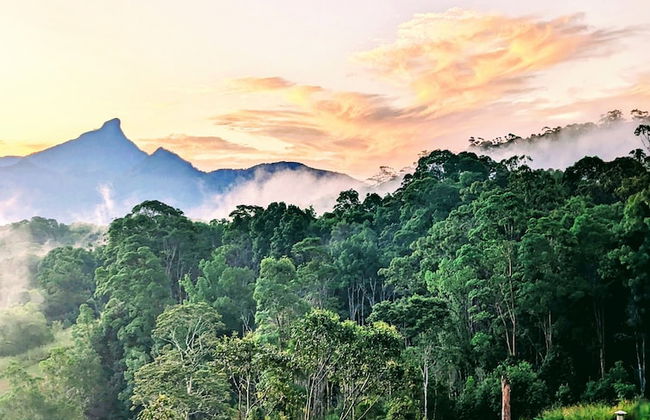 La Rocher Eco Retreat - Foto 74