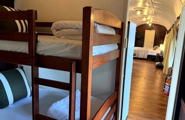 Daintree Beach Resort - Foto 24