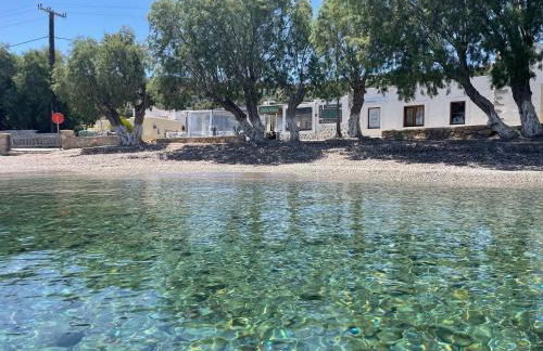 The Velanidies - Οι Βελανιδιές - Foto 18