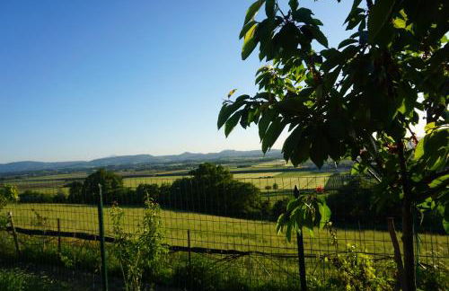 Casa Stella - Montepulciano - Foto 29