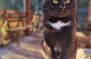 Maciejówka Borki 33 - Foto 56