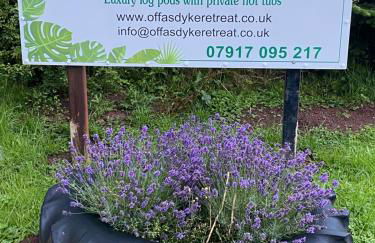 Luxury Railway carriage with own private hot tub - Photo 16