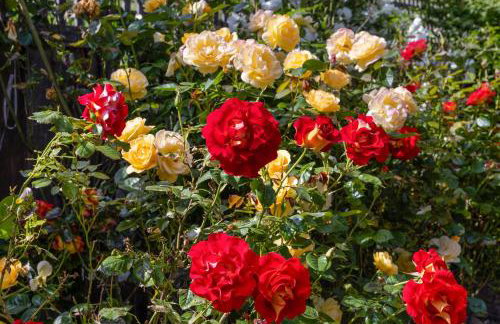 The Retreat at River Gardens - Photo 36