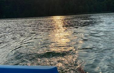 Jolly Old House - Foto 14