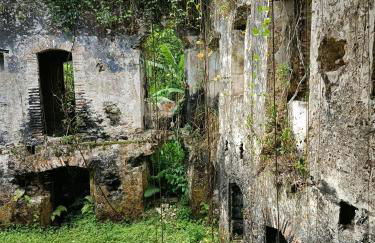 Casa Verde da Ari - Foto 7