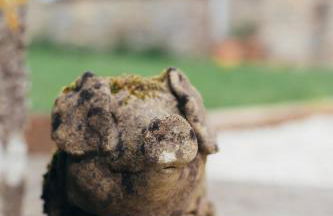 The Old Piggery, countryside barn with hot tub - Foto 27