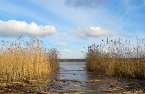 Ferienhaus Sommerwiese - ABC327 - Foto 22