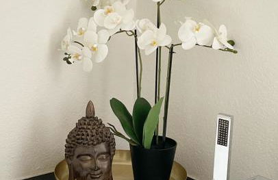 Wohlfühloase in der City - Foto 19